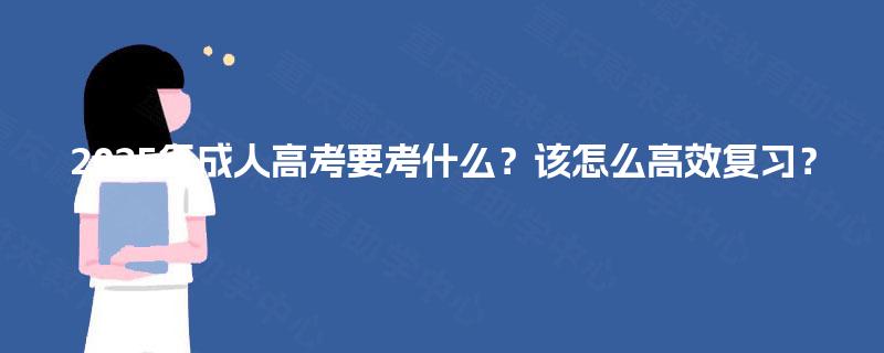 2025年成人高考要考什么?该怎么高效复习? 2025年成人高考要考什么?该怎么高效复习?