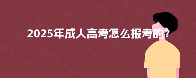 2025年成人高考怎么报考的？