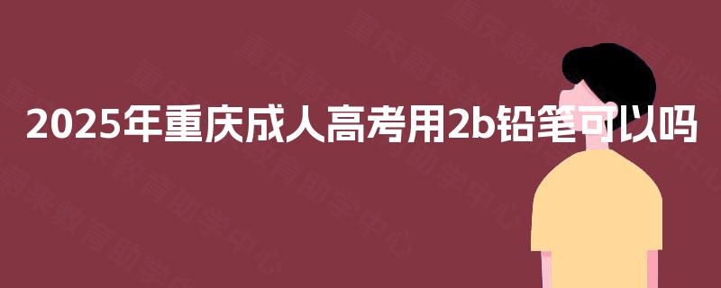 2025年重庆成人高考用2b铅笔可以吗