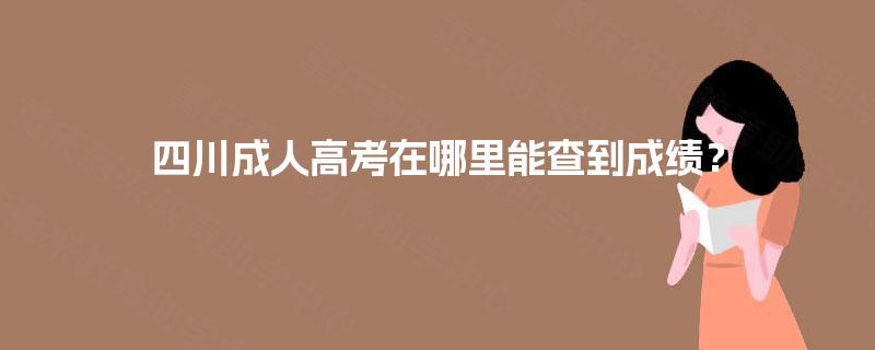 四川成人高考在哪里能查到成绩？