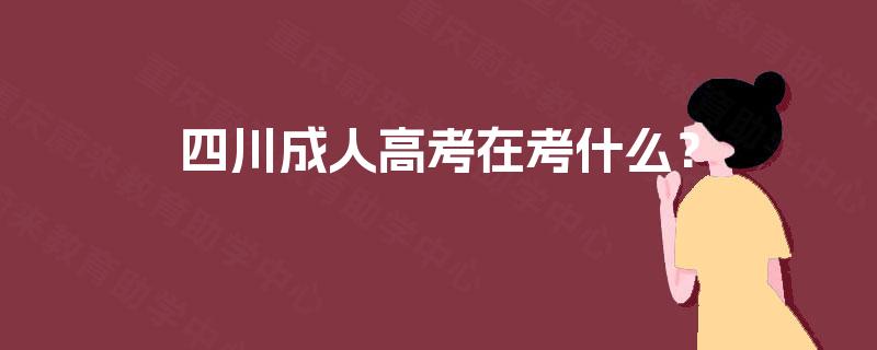四川成人高考在考什么？