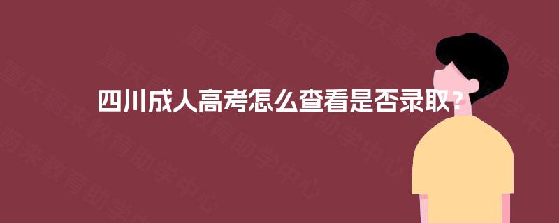 四川成人高考怎么查看是否录取？