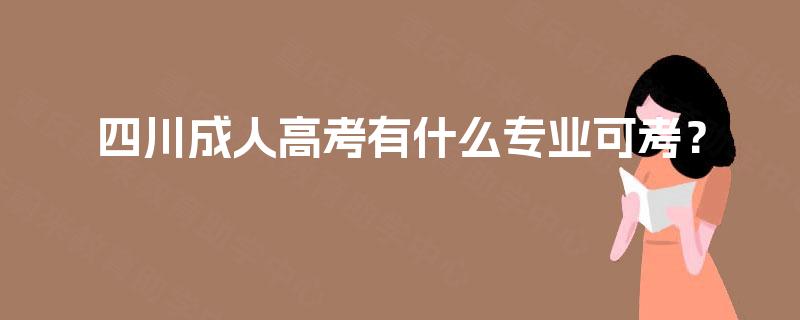四川成人高考有什么专业可考？
