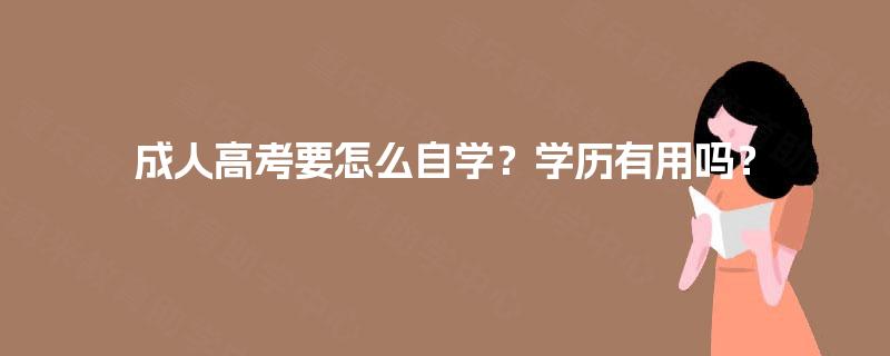 成人高考要怎么自学？学历有用吗？