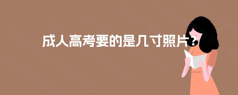 成人高考要的是几寸照片？