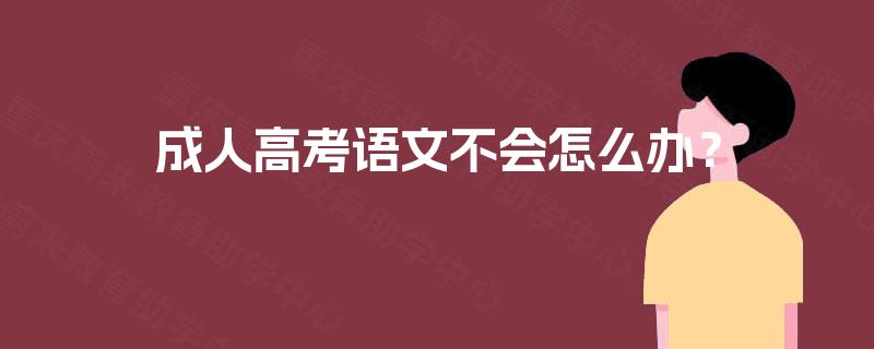成人高考语文不会怎么办？