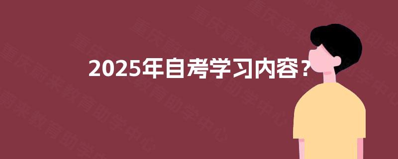2025年自考学习内容？