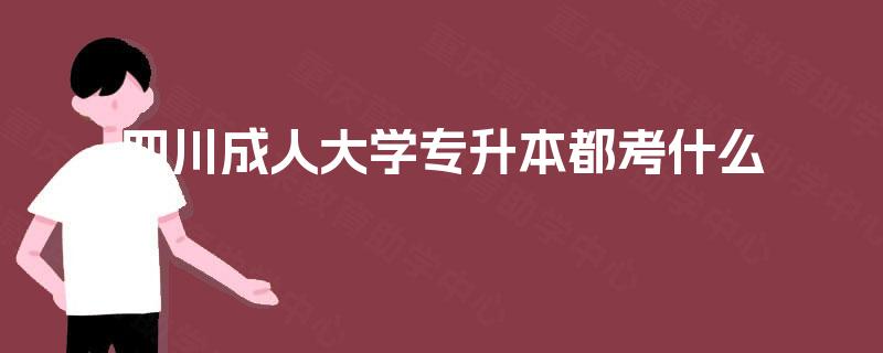 四川成人大学专升本都考什么