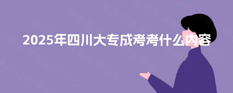 2025年四川大专成考考什么内容 2025年四川大专成考考什么内容