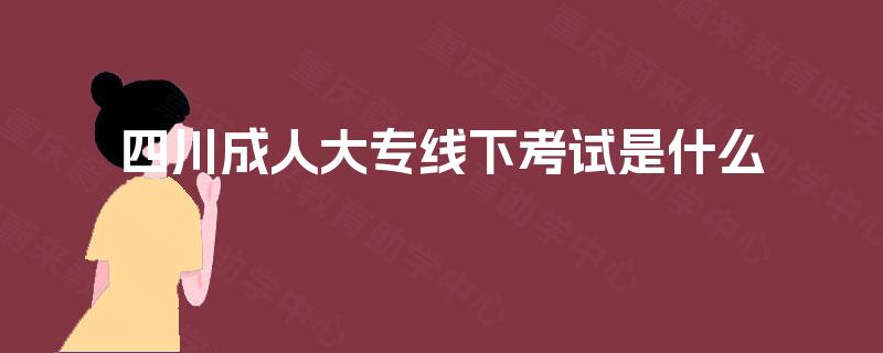 四川成人大专线下考试是什么