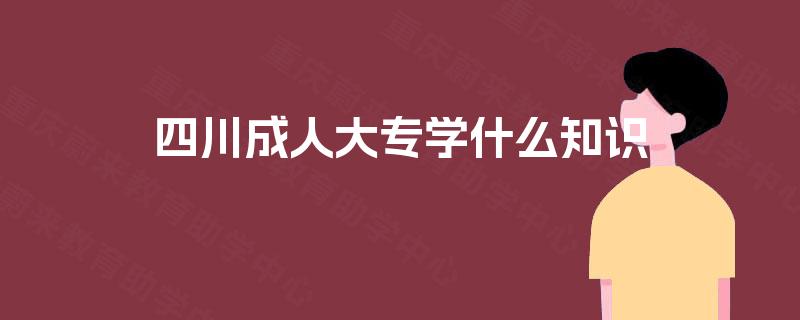 四川成人大专学什么知识