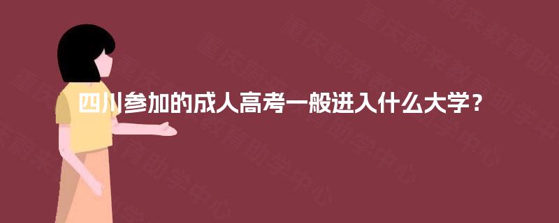 四川参加的成人高考一般进入什么大学？