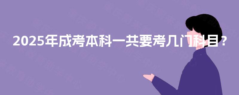 2025年成考本科一共要考几门科目？