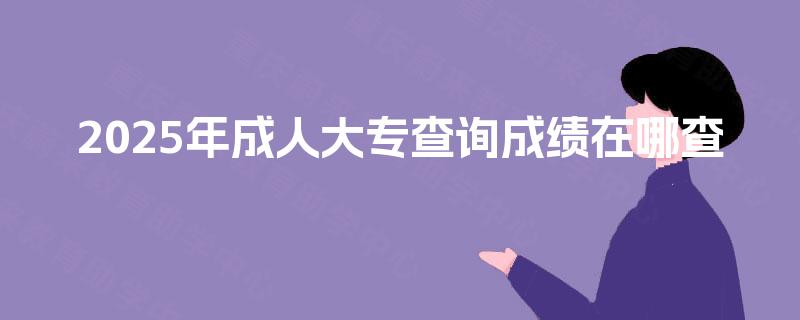 2025年成人大专查询成绩在哪查