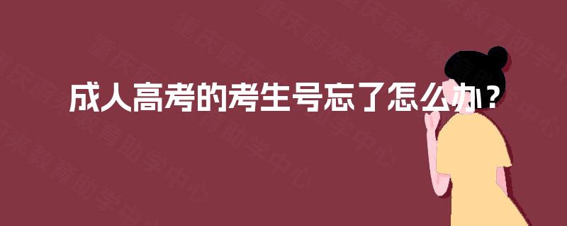 成人高考的考生号忘了怎么办? 成人高考的考生号忘了怎么办?