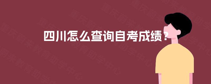 四川怎么查询自考成绩？
