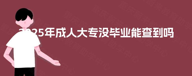 2025年成人大专没毕业能查到吗