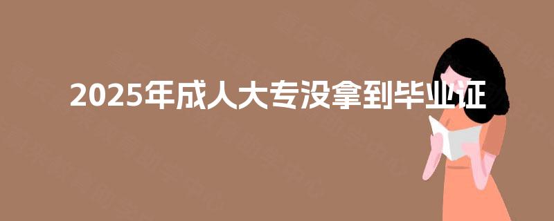 2025年成人大专没拿到毕业证