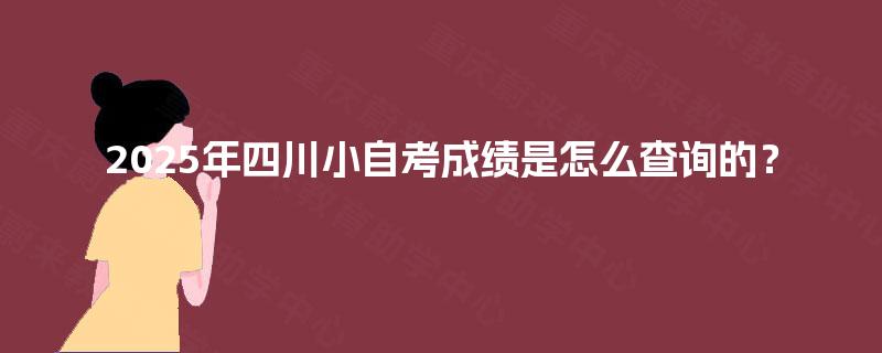 2025年四川小自考成绩是怎么查询的? 2025年四川小自考成绩是怎么查询的?