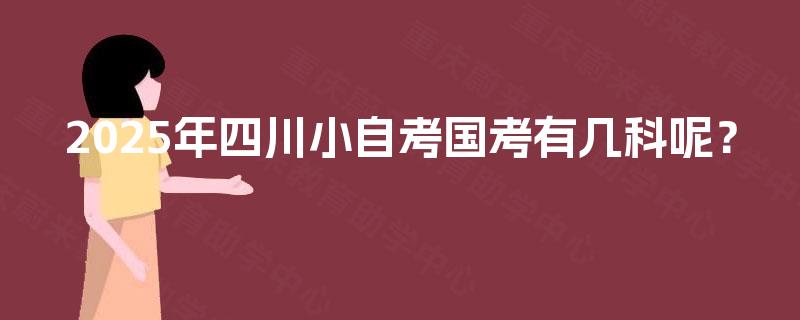 2025年四川小自考国考有几科呢？