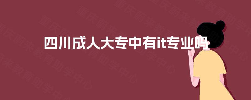 四川成人大专中有it专业吗 四川成人大专中有it专业吗