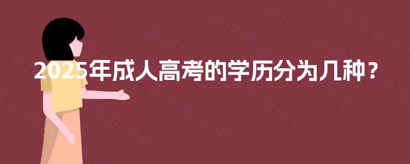 2025年成人高考的学历分为几种？