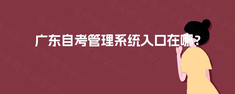 广东自考管理系统入口在哪? 广东自考管理系统入口在哪?