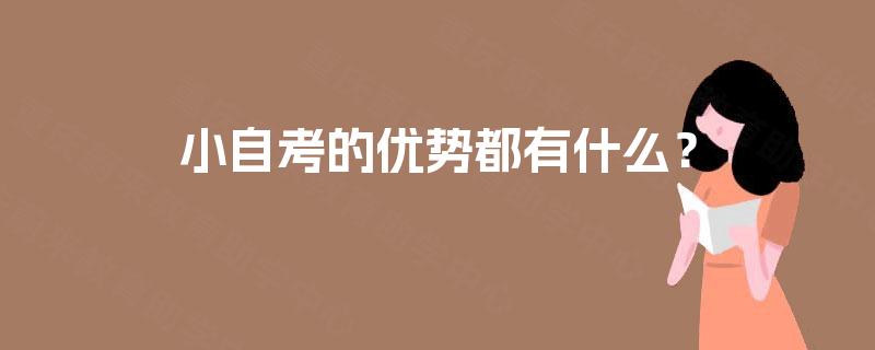 小自考的优势都有什么？