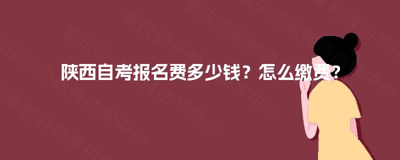 陕西自考报名费多少钱?怎么缴费? 陕西自考报名费多少钱?怎么缴费?