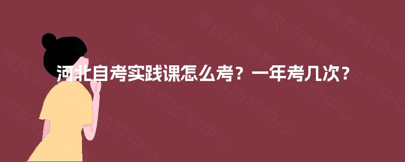 河北自考实践课怎么考？一年考几次？