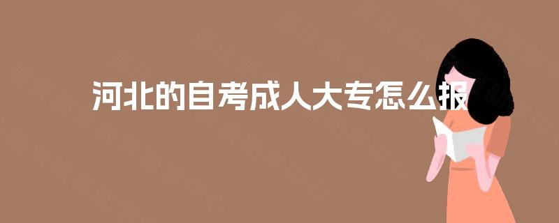 河北的自考成人大专怎么报