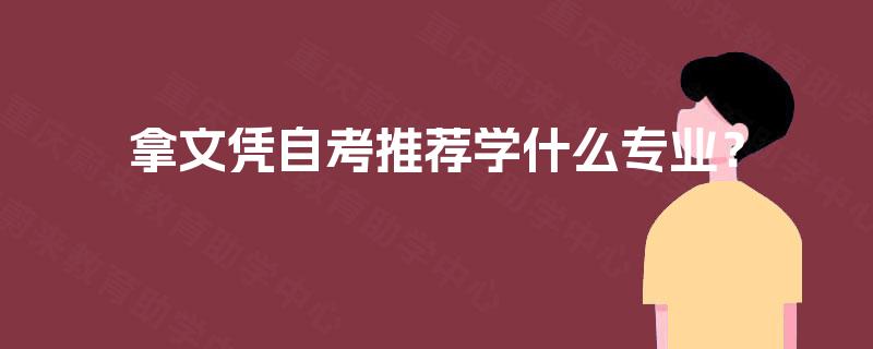 拿文凭自考推荐学什么专业？