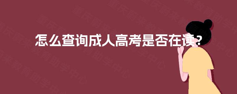 怎么查询成人高考是否在读? 怎么查询成人高考是否在读?