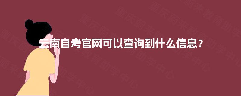 云南自考官网可以查询到什么信息？