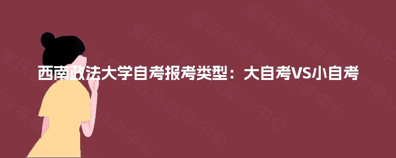 西南政法大学自考报考类型：大自考VS小自考