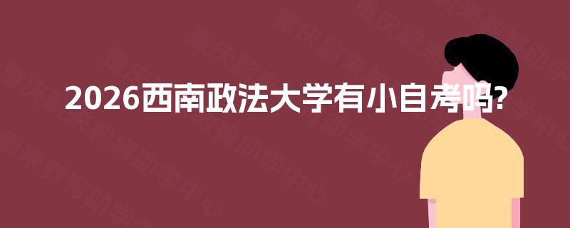 2026西南政法大学有小自考吗?